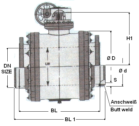 rund224